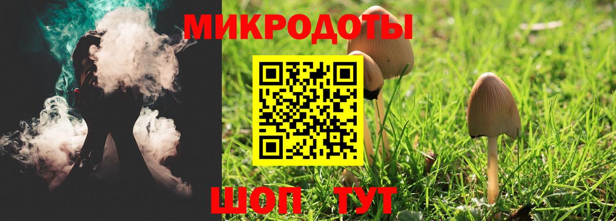 Псилоцибиновые грибы Psilocybine cubensis Кемерово